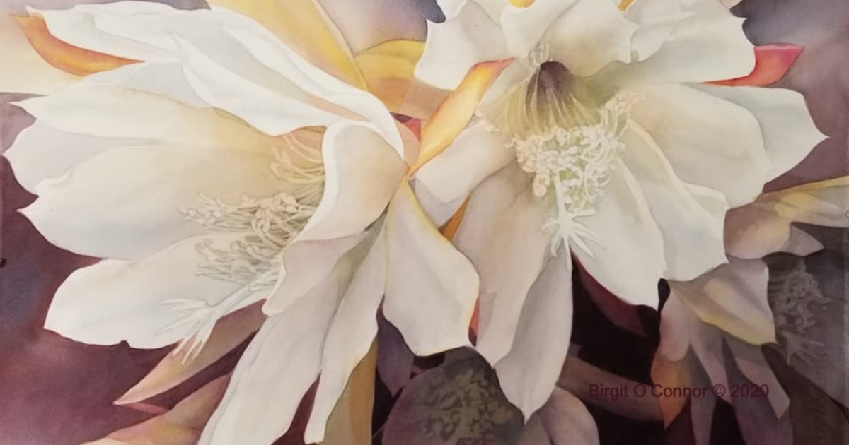 Starflower (watercolor on paper, 15x22) by Birgit O’Connor