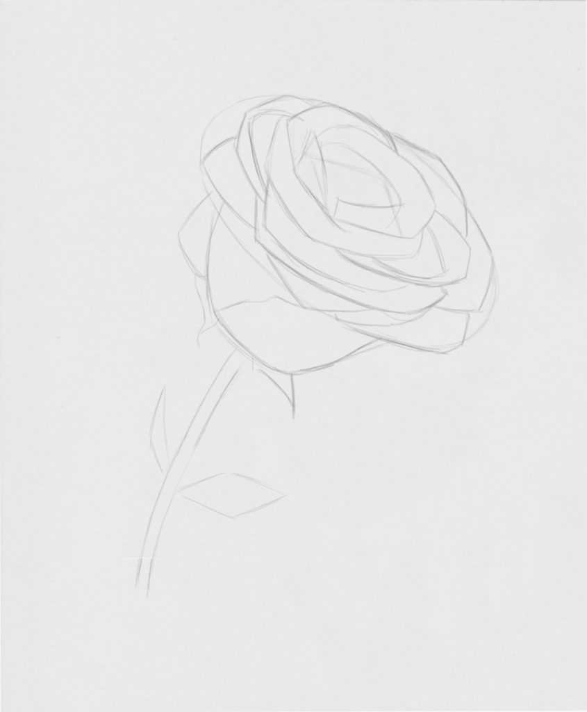 Drawing Roses | Gigi Chen | Artists Network