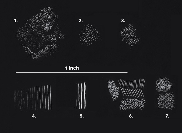 scratchboard stroke examples 1